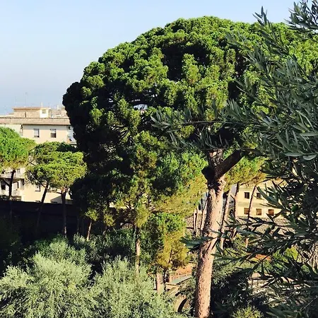 Casa Mami - Luxury And Pool - Lägenhet